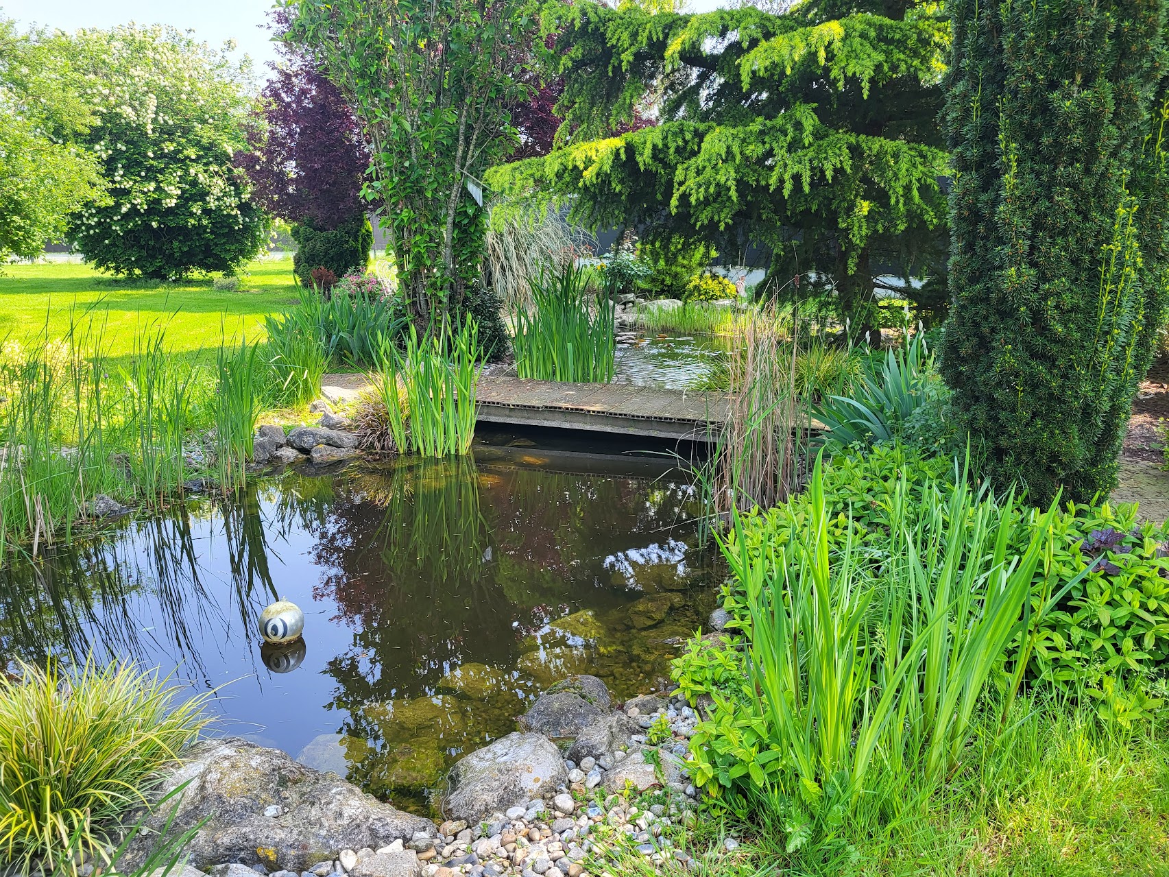 384789764_767687888701744_182295392427711698_n